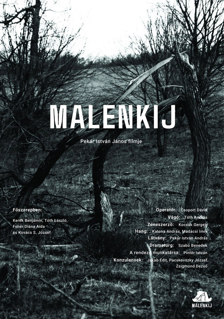 Poster 1