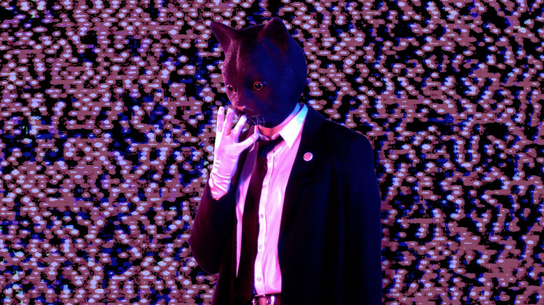 Cat Face backdrop