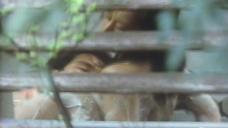 Scene 2