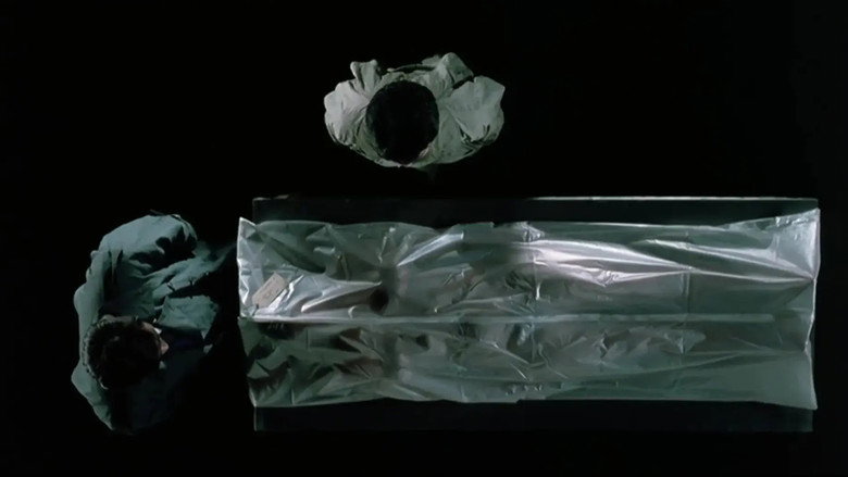 Scene 3