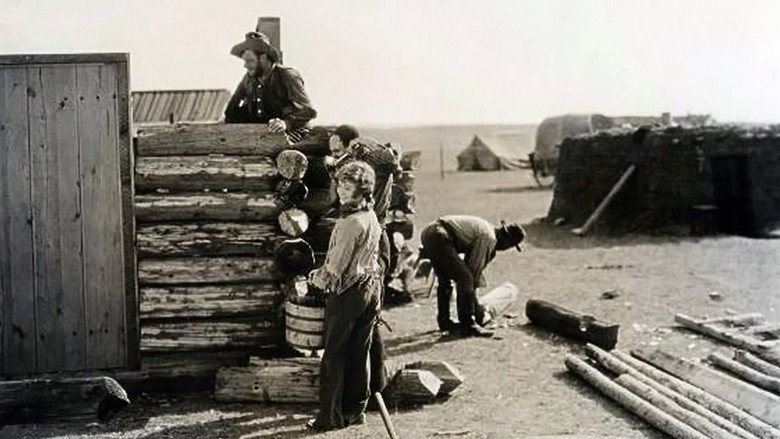 Scene 4