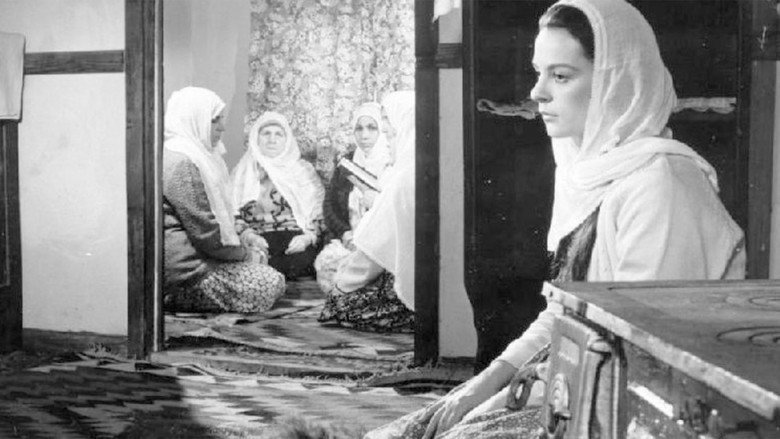 Scene 3