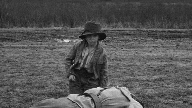Scene 5