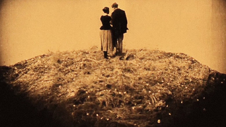 Scene 3