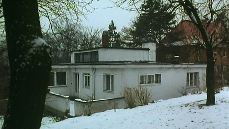 Scene 5