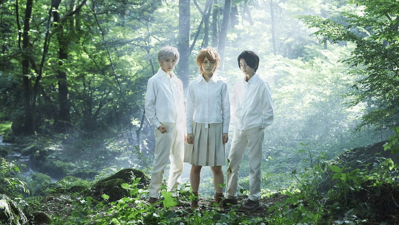 Scene 4