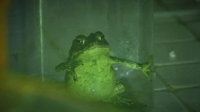Croak backdrop