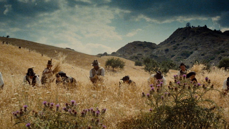 Scene 3