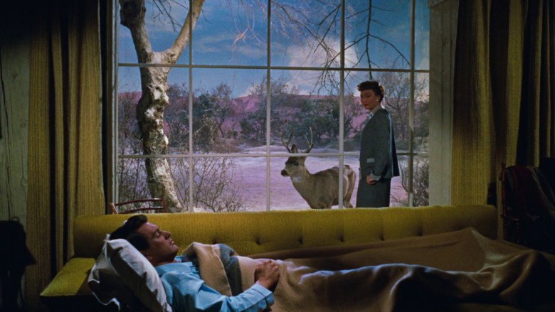 Scene 3