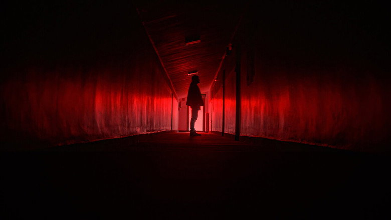 Scene 5