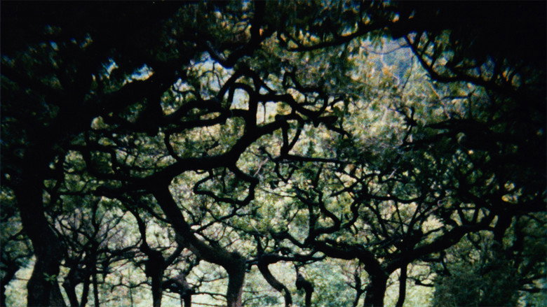 Scene 2