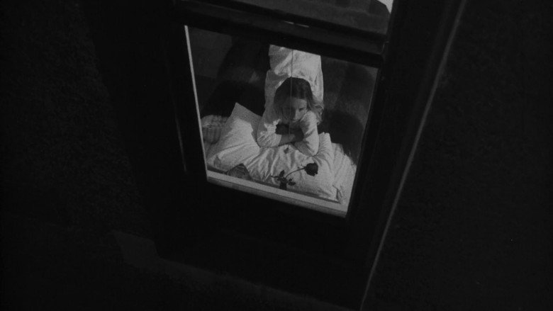 Scene 4