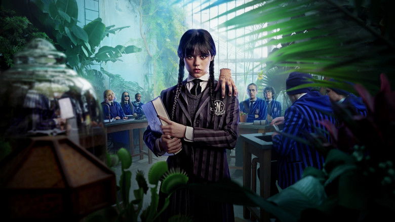 Scene 3