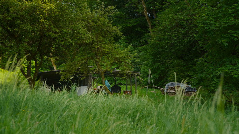 Scene 3