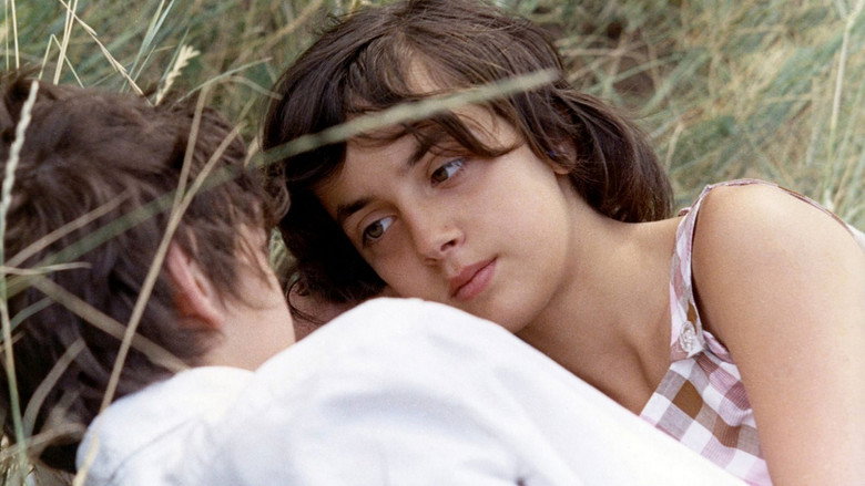 Scene 3