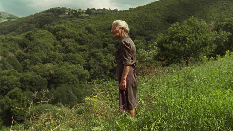 Scene 5