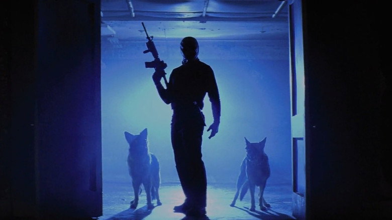 Scene 5