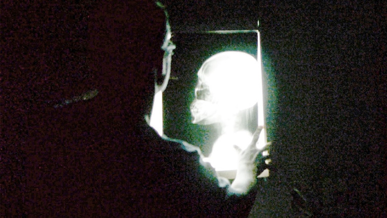 Scene 3