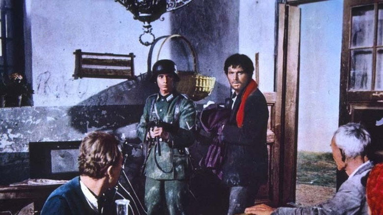 Scene 4