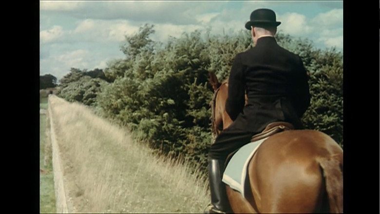 Scene 5