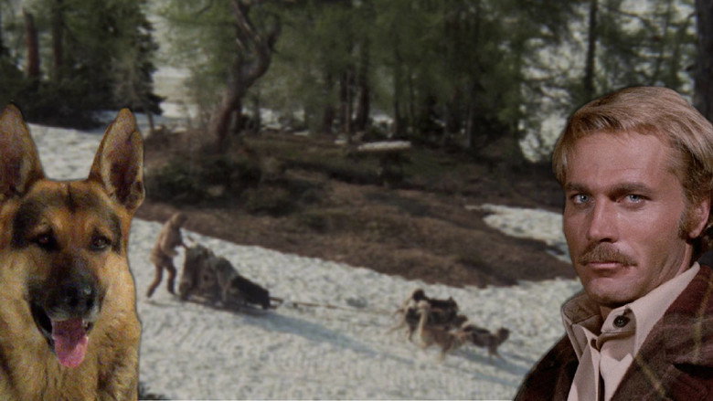 Scene 2