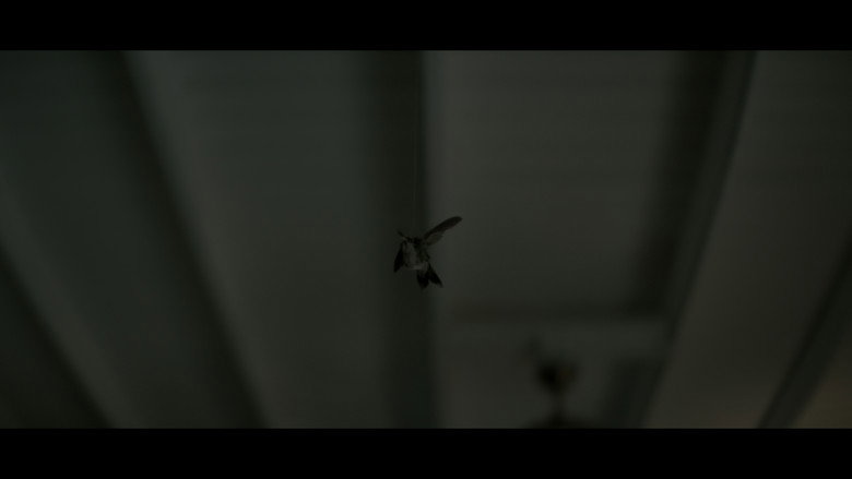 Scene 2