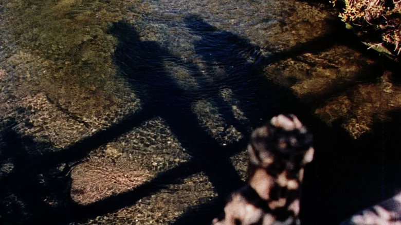 Scene 5