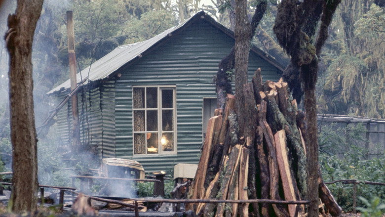 Scene 3