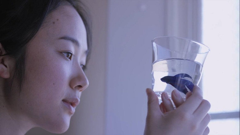 Scene 3
