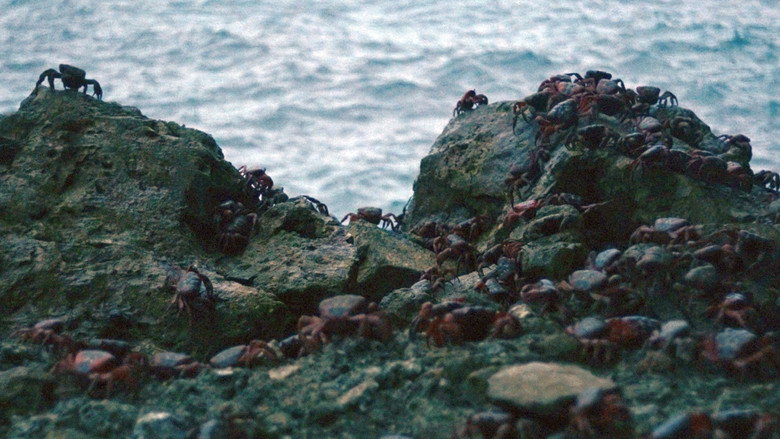 Scene 4