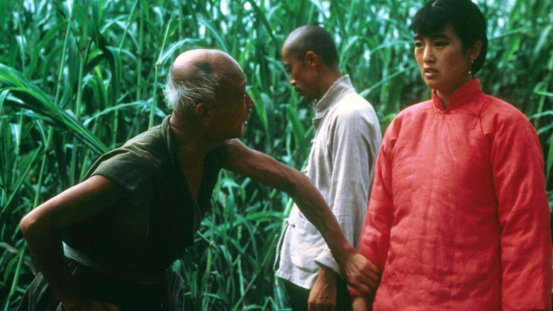 Scene 5