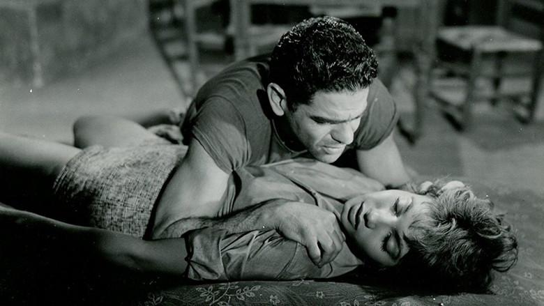 Scene 3