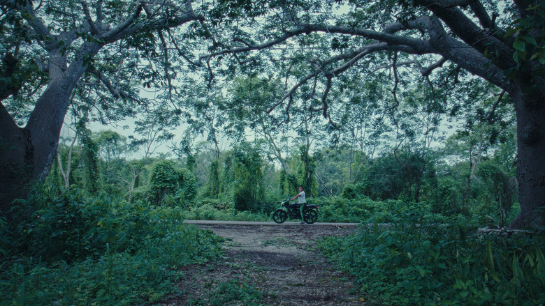 Scene 3