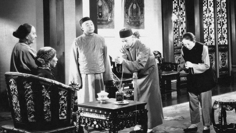 Scene 5