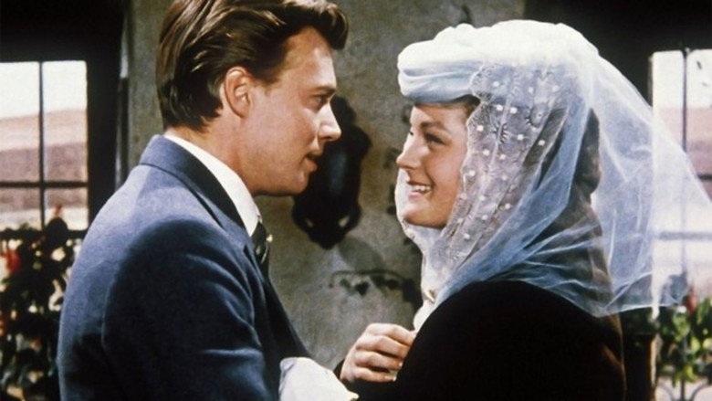 Scene 3