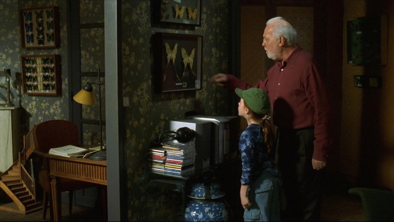 Scene 5
