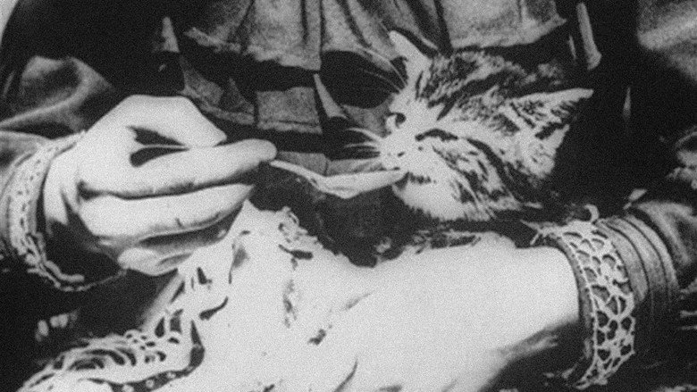 The Sick Kitten