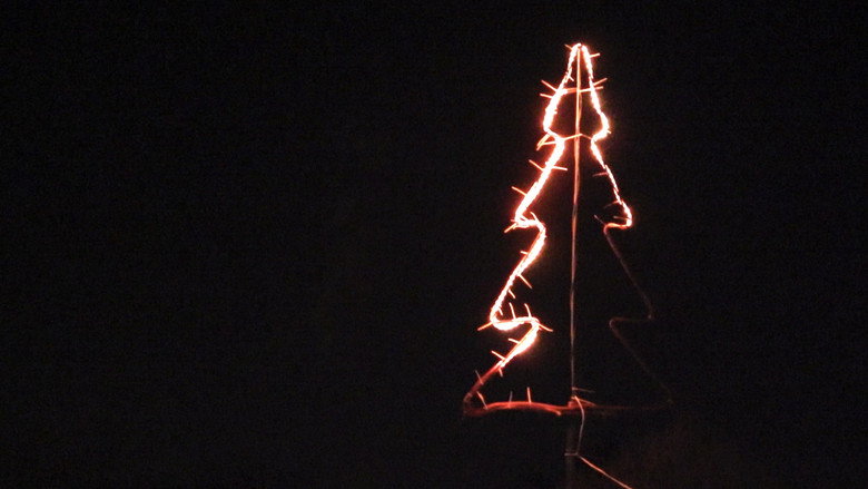 Winter Lights backdrop