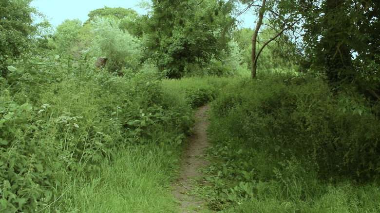 Scene 5