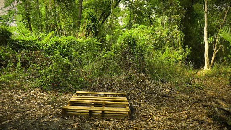 Scene 3