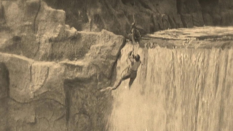 Scene 5
