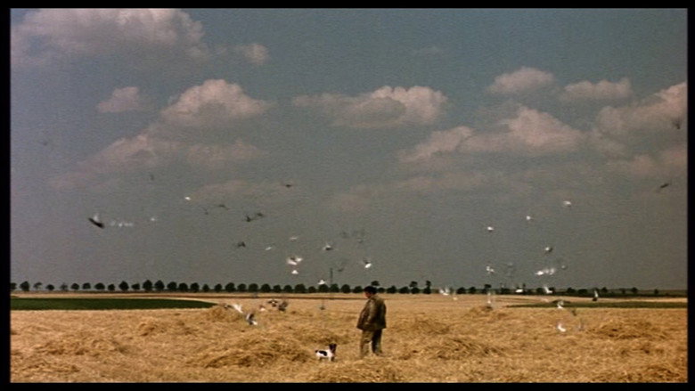 Scene 4