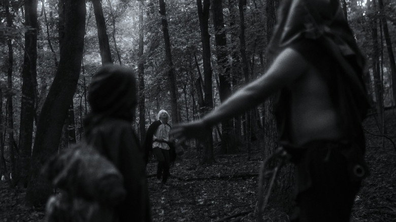 Scene 5