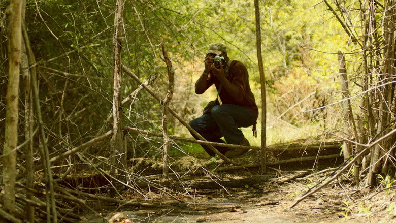 Scene 5