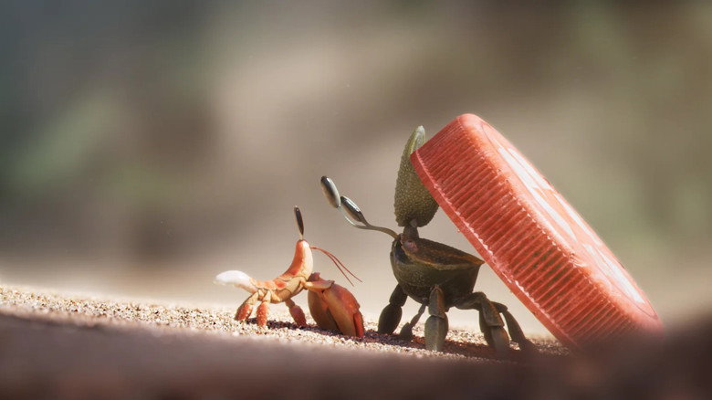 Shellfish backdrop