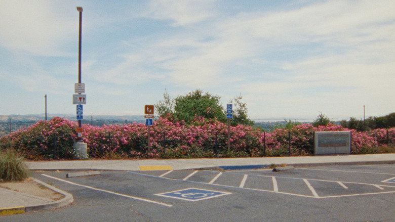 Scene 5