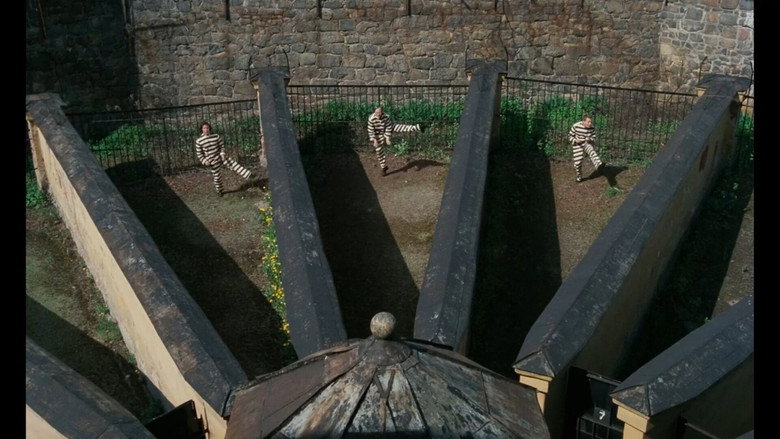 Scene 5