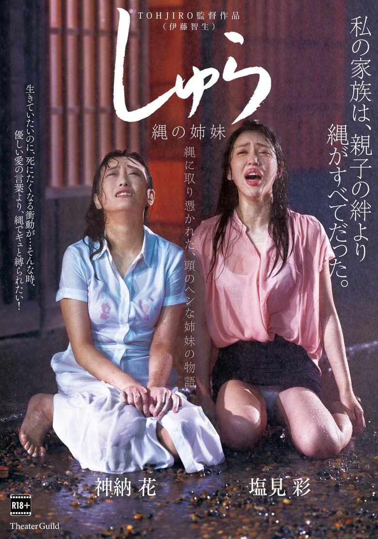 Poster 1