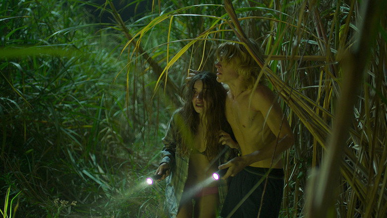 Scene 3