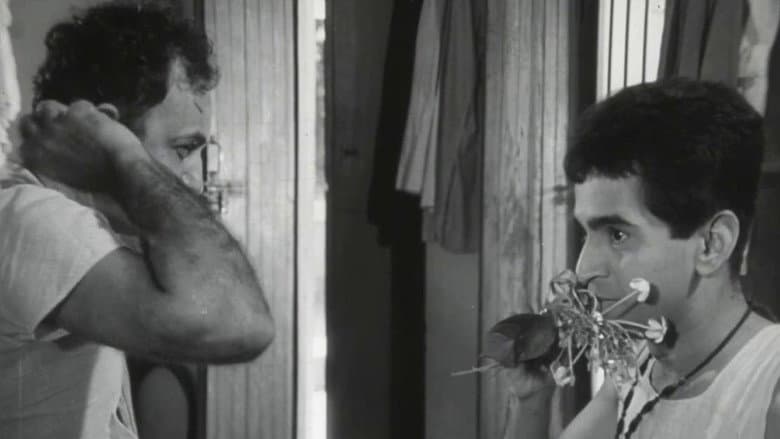 Scene 3